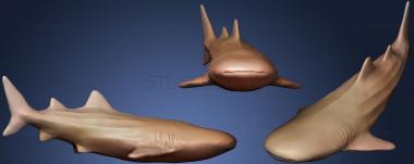 3D мадэль Китовая акула (STL)